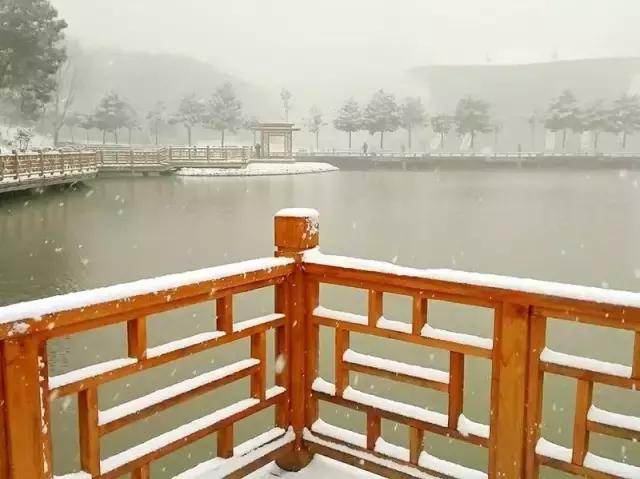 我还是很喜欢你原唱,我还是很喜欢你朗诵