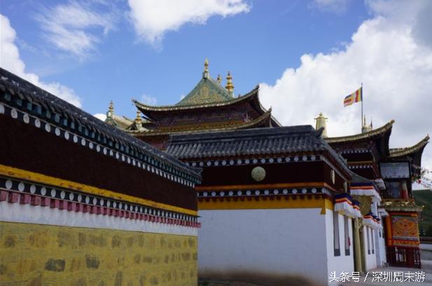 阿坝州川西北大草原,川西北若尔盖地区