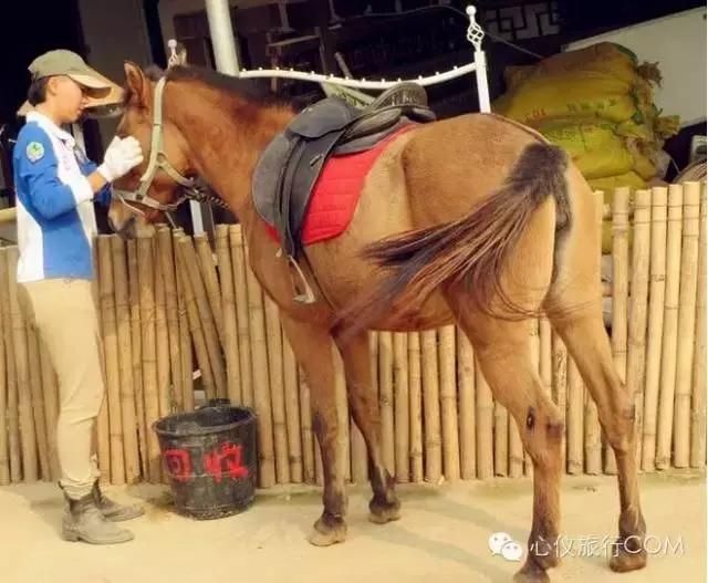南宁西乡塘区周边农家乐大全,南宁陈家大院农家乐大全