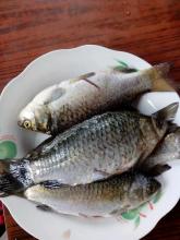 生活简单健康就好,如何拥有健康的生活常识