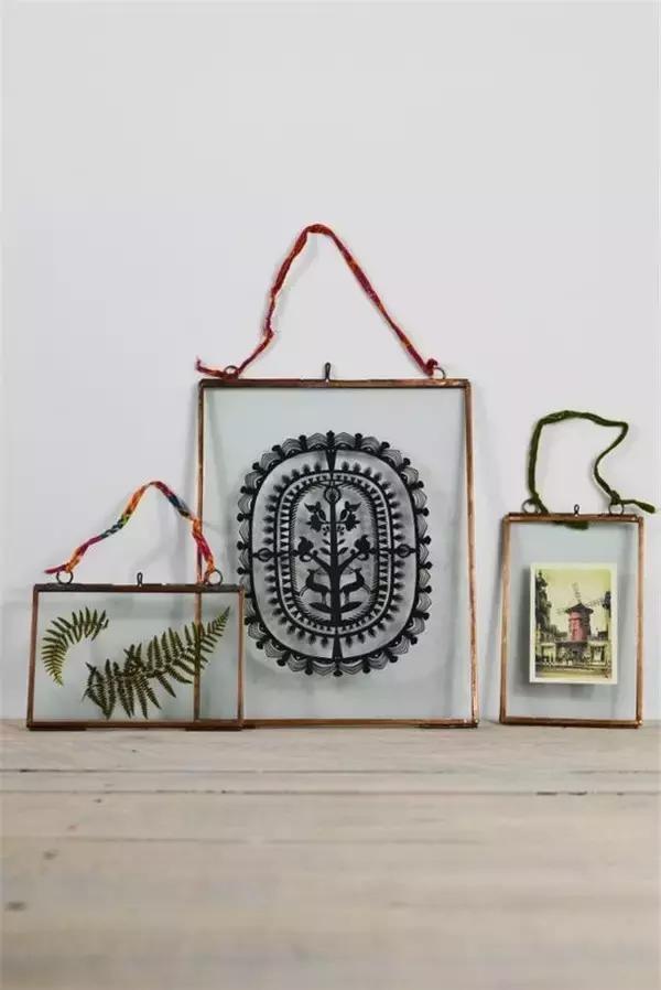 家里再穷也要丢掉的绿植,绿植盆栽都扔了