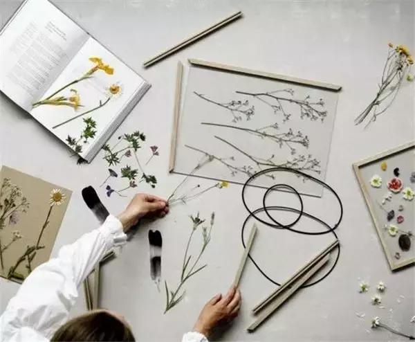 家里再穷也要丢掉的绿植,绿植盆栽都扔了