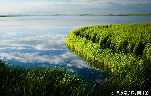 阿坝州川西北大草原,川西北若尔盖地区