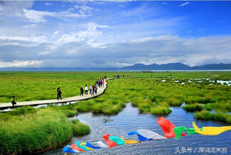 阿坝州川西北大草原,川西北若尔盖地区