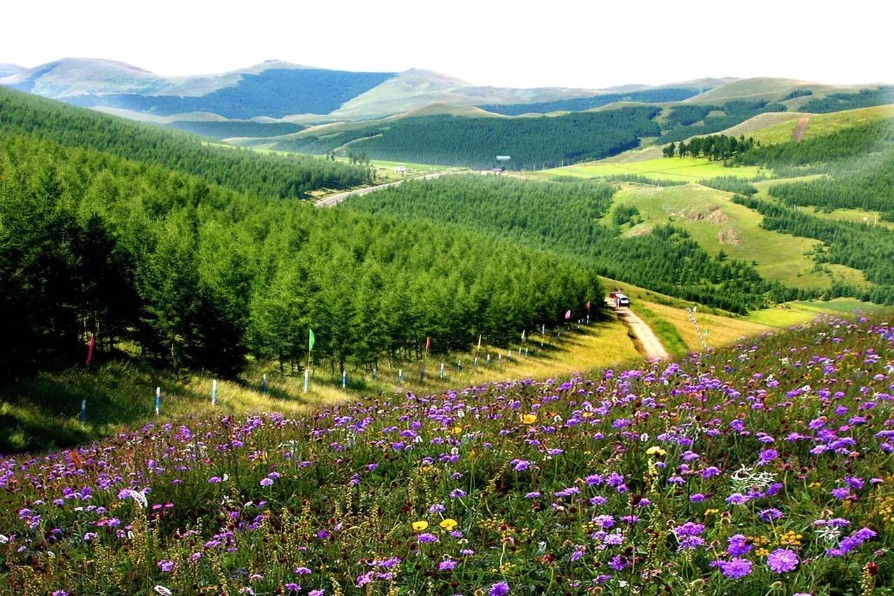 塞北梯田自驾攻略,最美梯田自驾游攻略视频