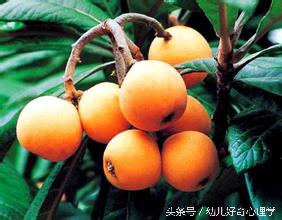 小孩治咳嗽的老中医在哪,儿童久咳不愈老中医特效方
