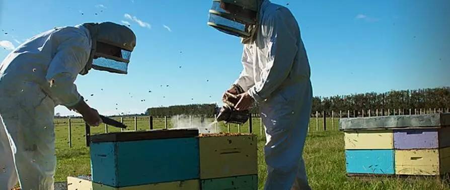 老中医蜂蜜系列,老中医秘制蜂蜜