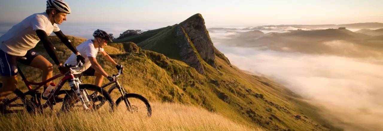 老中医蜂蜜系列,老中医秘制蜂蜜