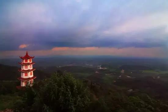 七大美女齐聚信阳！看看她们都是谁?