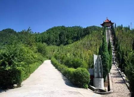 七大美女齐聚信阳！看看她们都是谁?