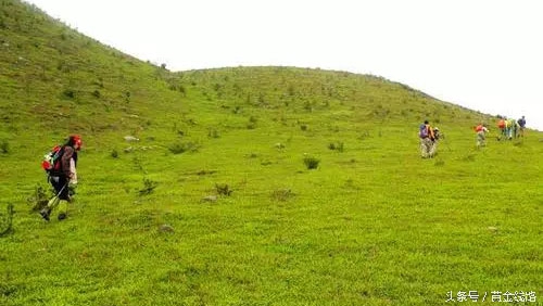 广东的绿宝石,广东绿宝石