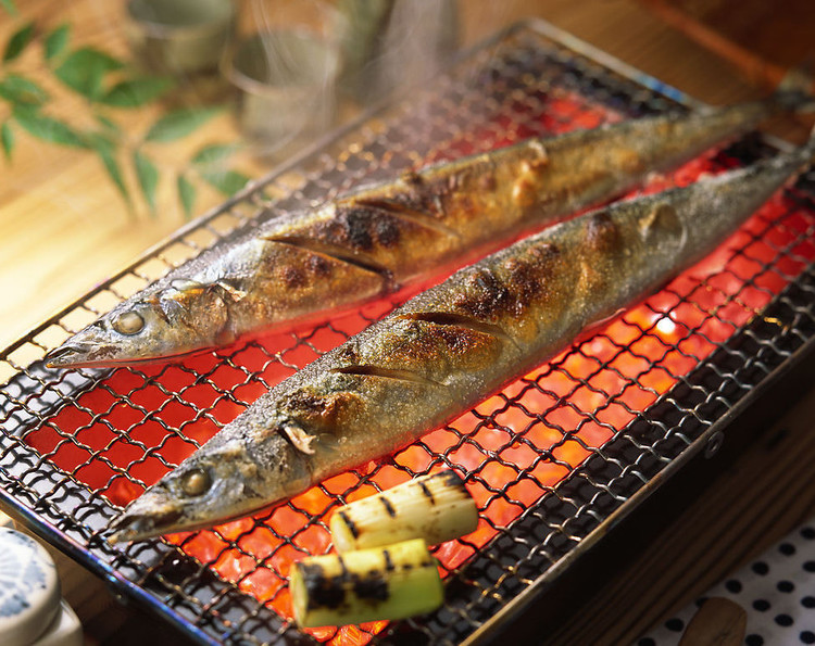 大连海鲜都有哪些品种,最近大连最好的海鲜