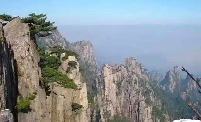 七大美女齐聚信阳！看看她们都是谁?