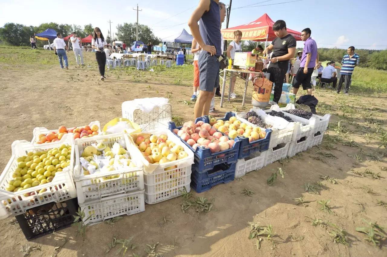 “8·20田园乐山狂欢夜”圆满落幕！看现场嗨成什么样！