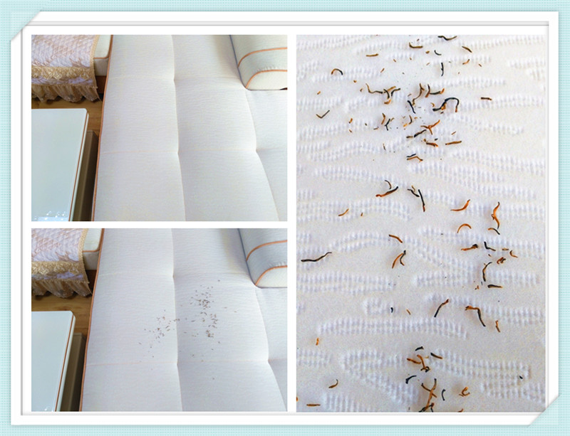 百元左右的大吸力除螨仪测评,除螨仪宝家丽