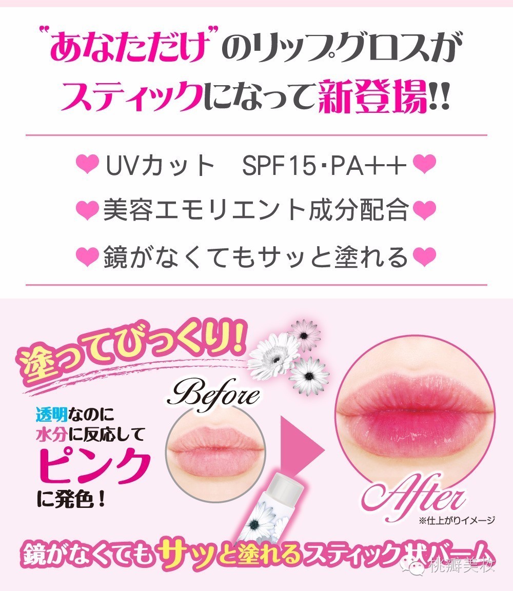 canmake新版,canmake的新品