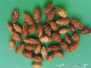 老中医鼻炎秘方偏方大全,孩子鼻炎怎么治疗效果最好