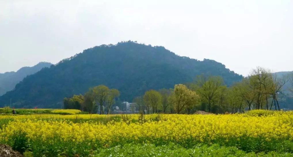 微博为什么会存在被盗风险,微博怎么被盗的