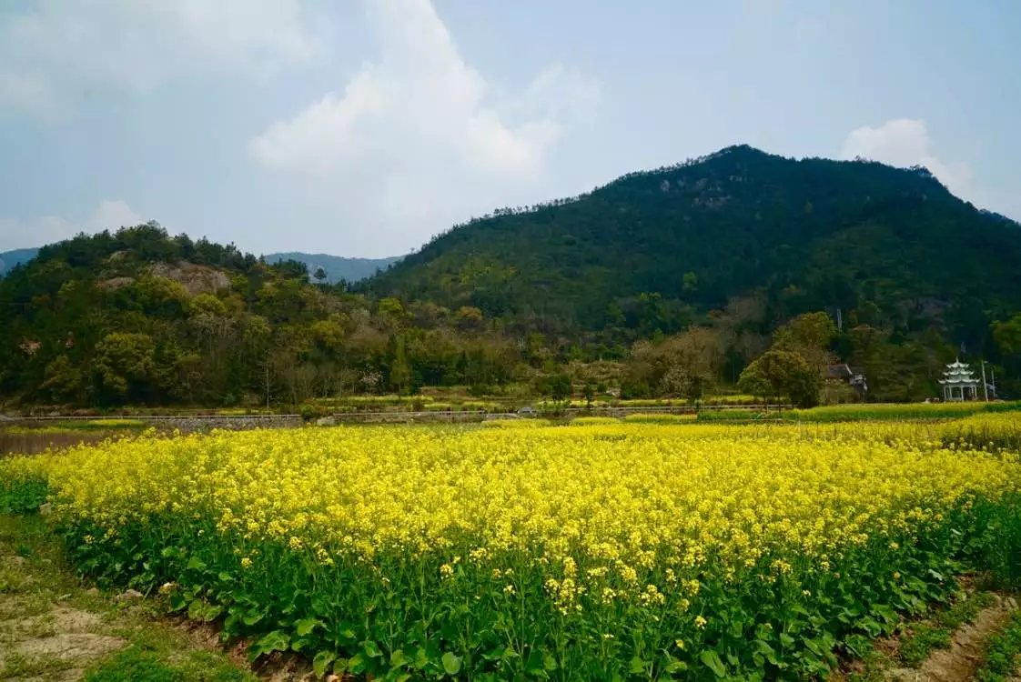 微博为什么会存在被盗风险,微博怎么被盗的