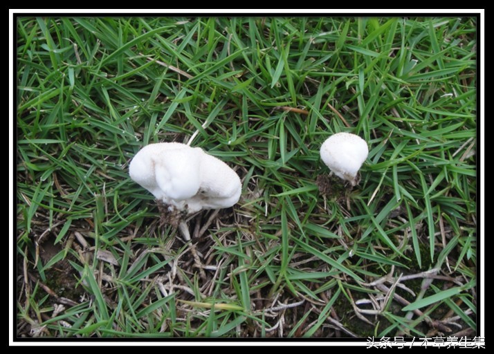 咽部红肿充血用什么清热解毒,病毒性咽喉肿痛一招解决