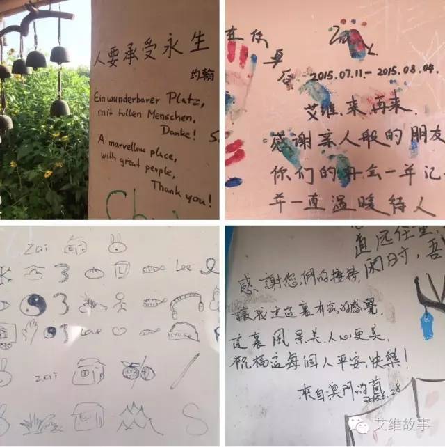 神奇大观园——农场变形记