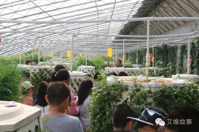 神奇大观园——农场变形记