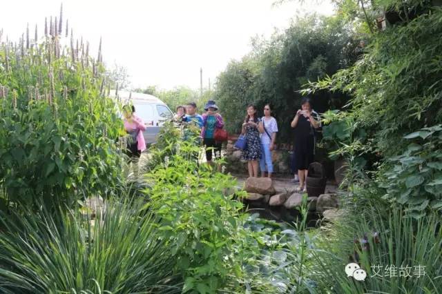 神奇大观园——农场变形记