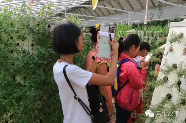 神奇大观园——农场变形记