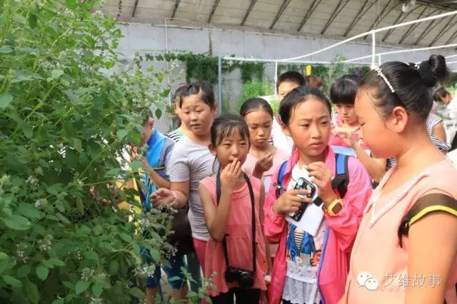 神奇大观园——农场变形记