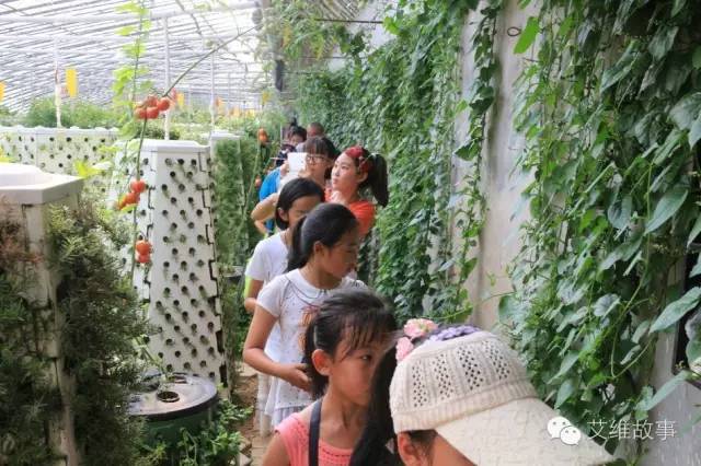 神奇大观园——农场变形记