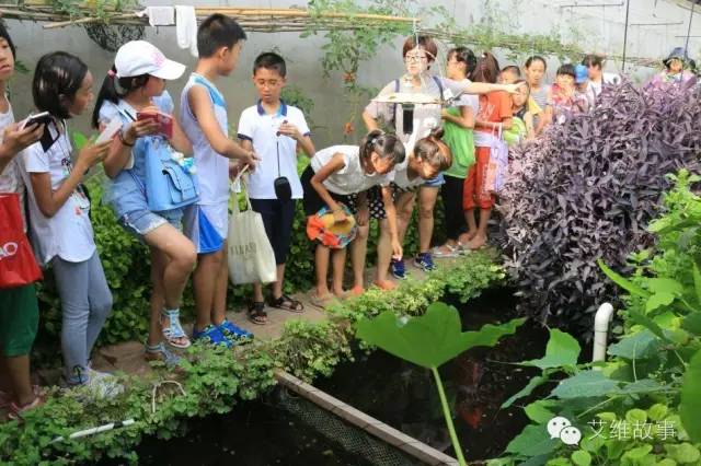 神奇大观园——农场变形记