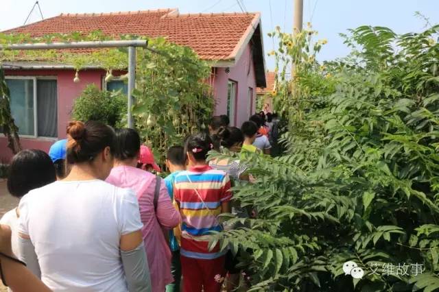 神奇大观园——农场变形记