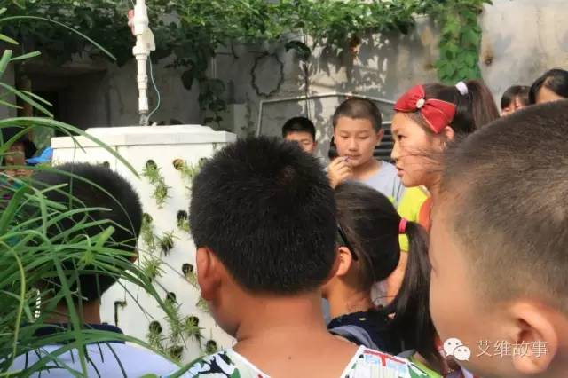 神奇大观园——农场变形记