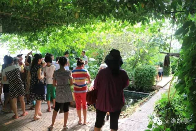 神奇大观园——农场变形记