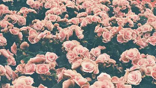 如何对待自恋型男友,如何与自恋型恋人相处