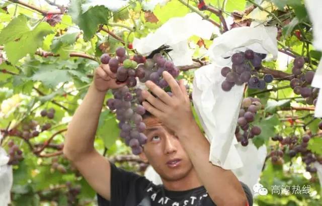 没有空调的年代是怎么活的,在没有空调的年代如何度过夏天的