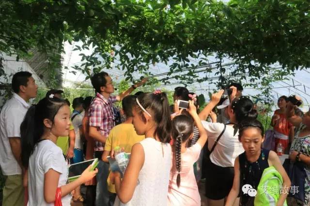 神奇大观园——农场变形记