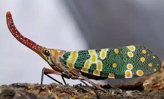 没有空调的年代是怎么活的,在没有空调的年代如何度过夏天的