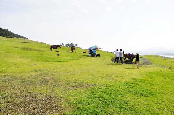 济州岛火山是活火山吗,火山遗址