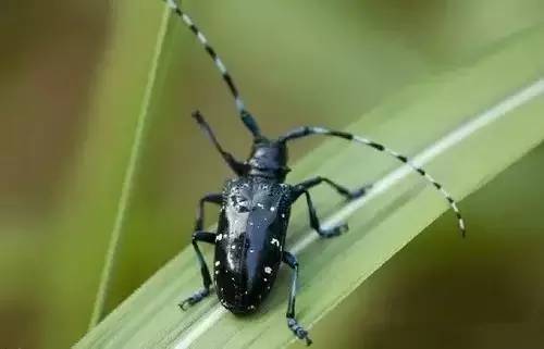 没有空调的年代是怎么活的,在没有空调的年代如何度过夏天的