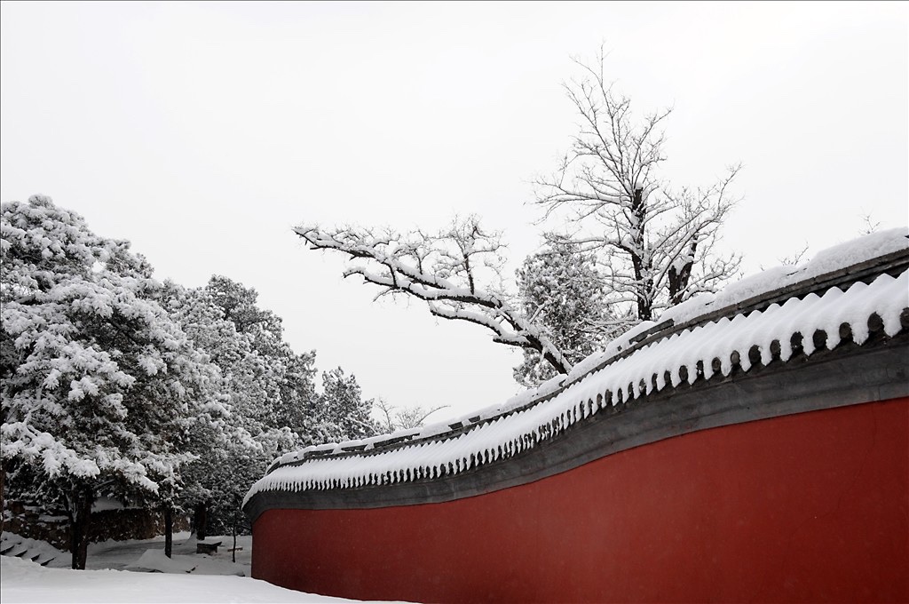 我为什么留在大城市,我为什么要留在大城市演讲