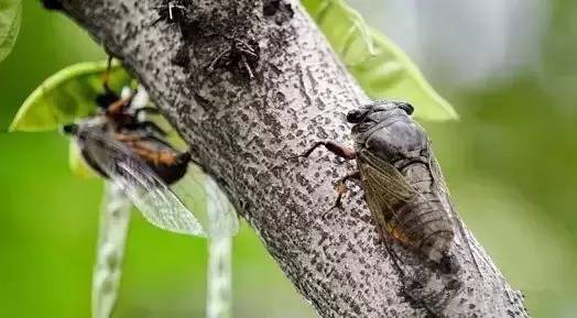 没有空调的年代是怎么活的,在没有空调的年代如何度过夏天的
