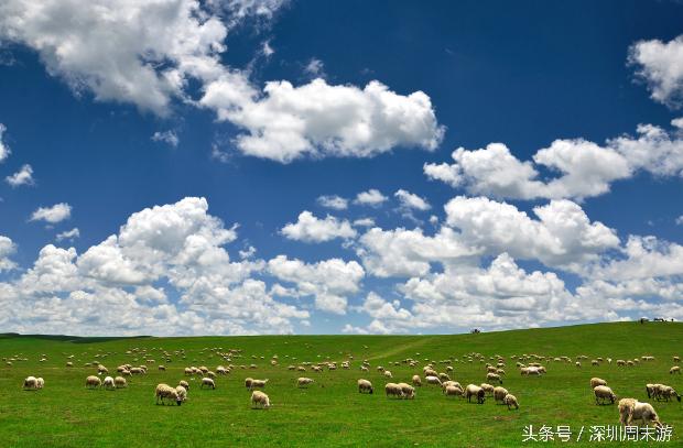 阿坝州川西北大草原,川西北若尔盖地区
