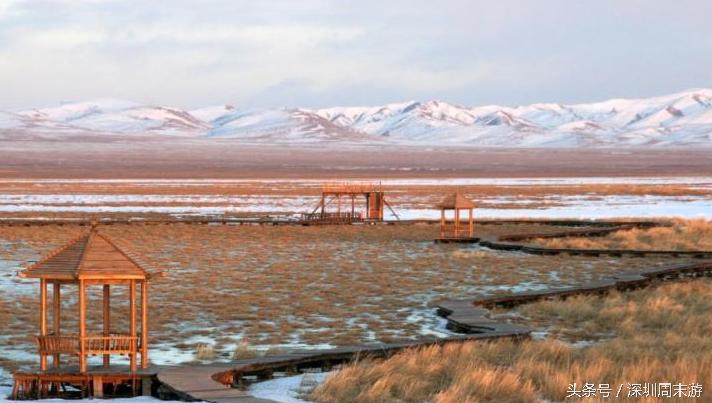 阿坝州川西北大草原,川西北若尔盖地区