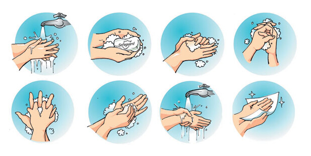 呵护孩子眼睛方案,呵护孩子眼睛的内容