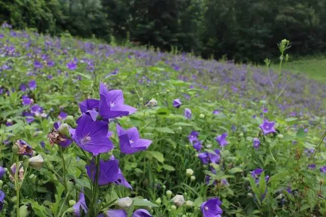 豫西大峡谷漂流价格,豫西大峡谷漂流团购