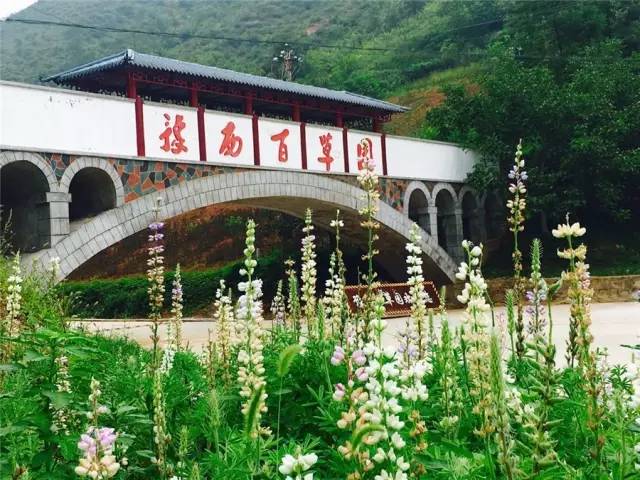 豫西大峡谷漂流价格,豫西大峡谷漂流团购