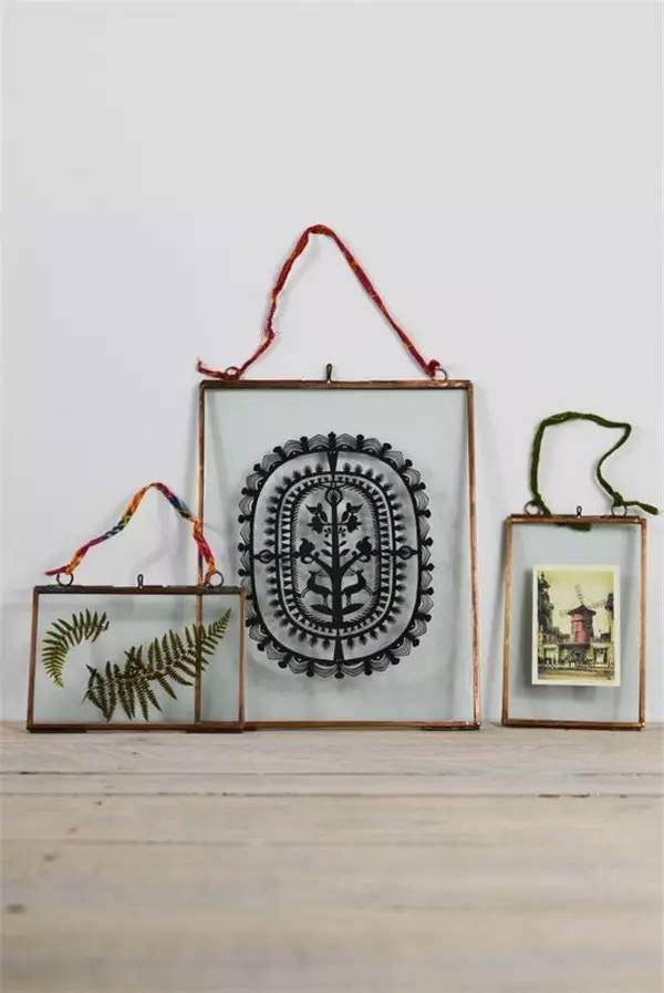 植物标本怎么装饰墙面 (植物标本室内装修挂件)