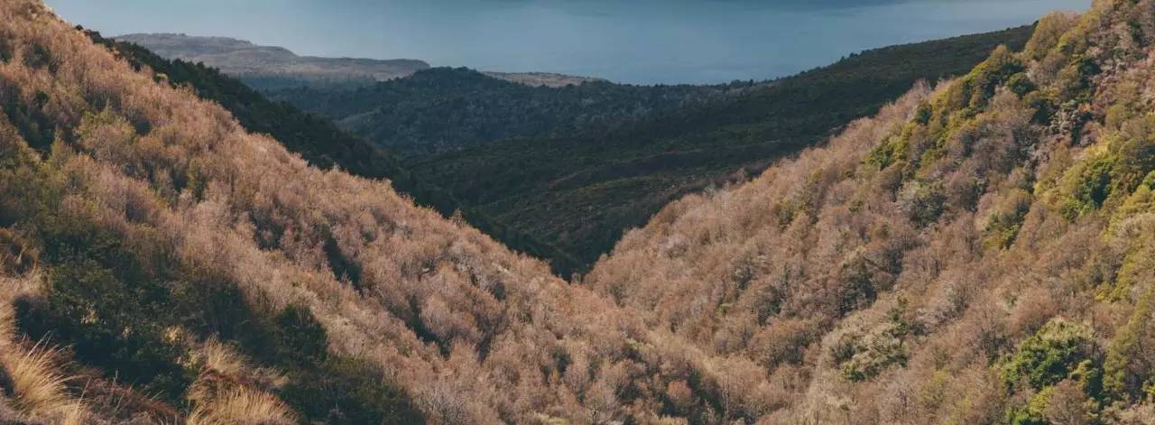 老中医蜂蜜系列,老中医秘制蜂蜜