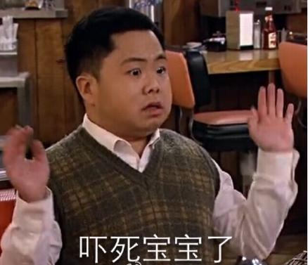 爱狗人与打狗队发生打架,爱狗与虐狗